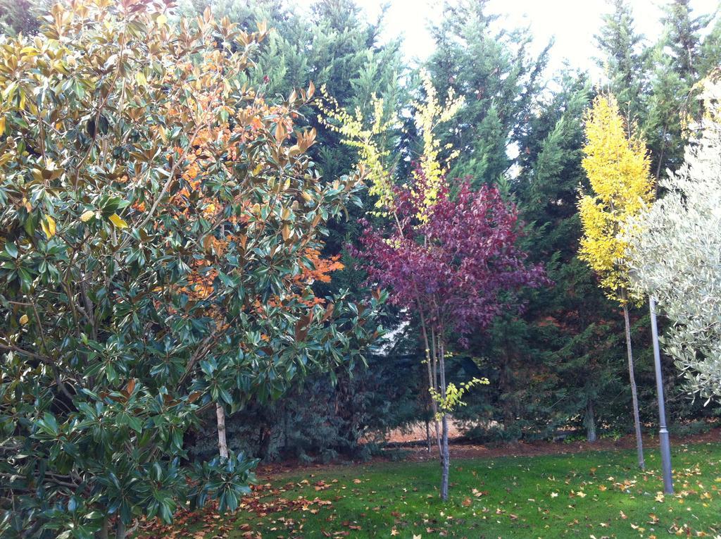 La Alberca Villa Palencia Exteriör bild